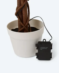 Beleuchteter Outdoor-Rosenbaum