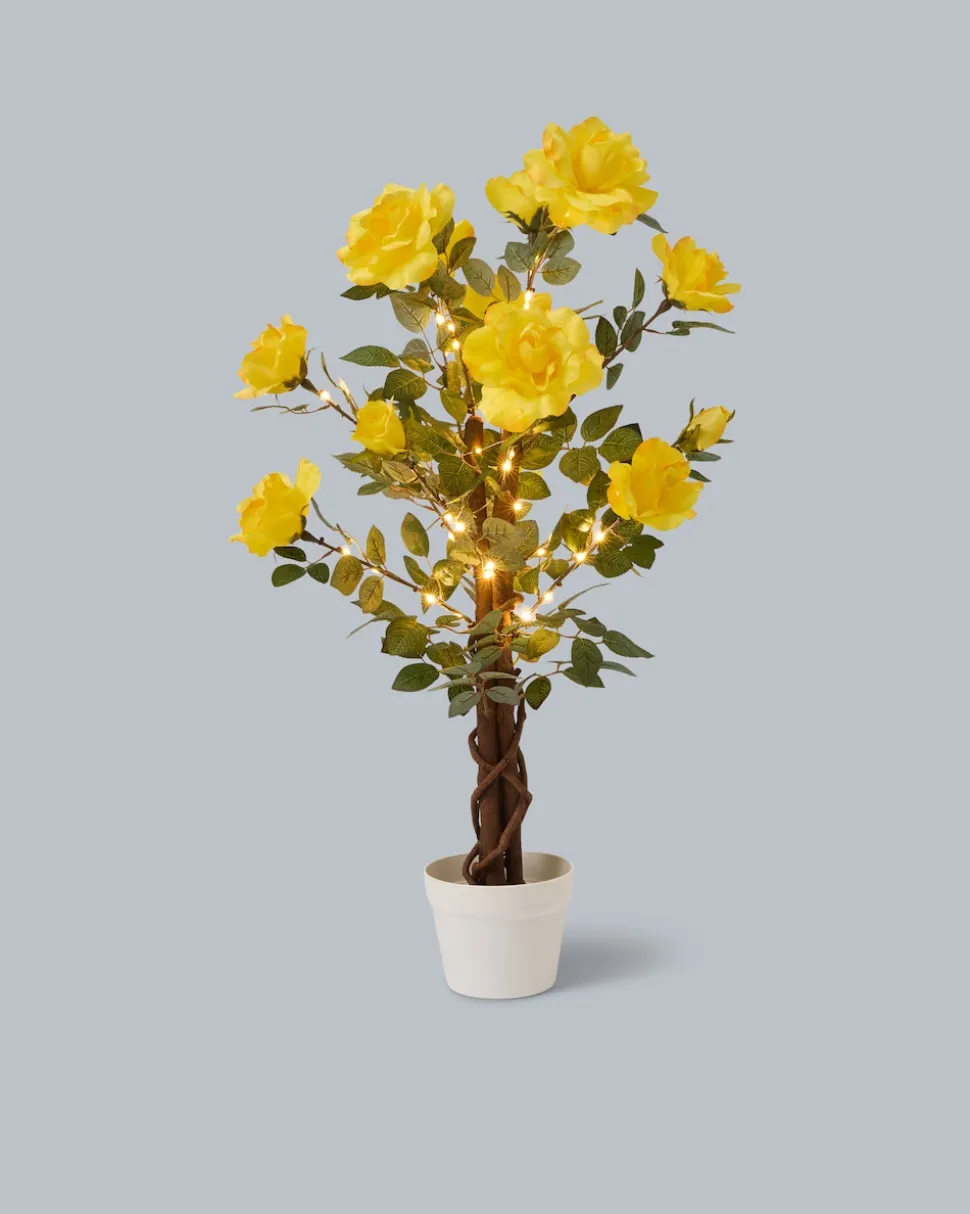Beleuchteter Outdoor-Rosenbaum