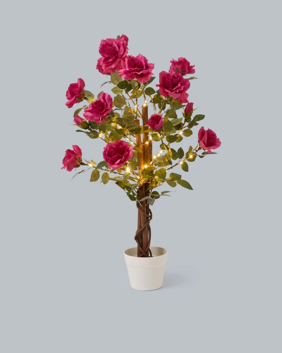 Beleuchteter Outdoor-Rosenbaum