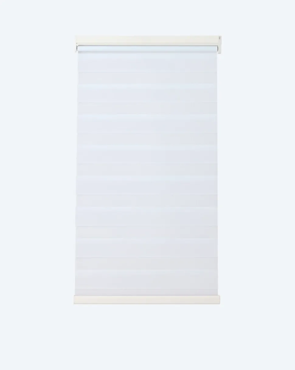 Day & Night Fenster-Rollo motorisiert