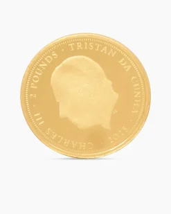Gold Panda Artist Edition, 8tlg.