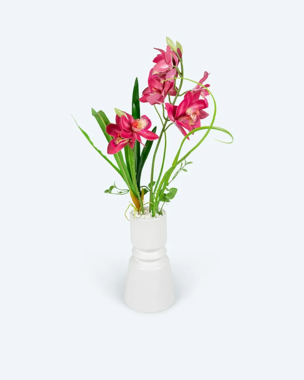 Kahnorchideen-Arrangement