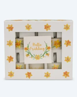 6 LED-Teelichter 