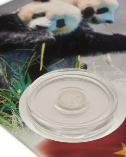 Numisbrief 20 Jahre Platin-Panda