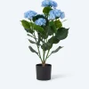 Outdoor-Kunsthortensie
