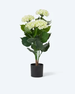 Outdoor-Kunsthortensie