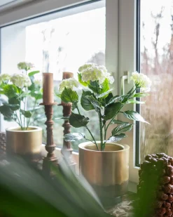 Outdoor-Kunsthortensie