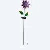 Premium Solar Hybrid "Blumenmagie"