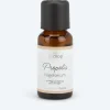 Propolis Nagelserum