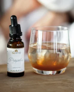 Propolis 10 % Tinktur, alkoholfrei